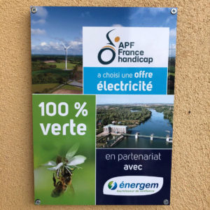 APF France Handicap - Energem