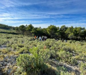 ReforestationONF_Massifdelagardiole_APF34