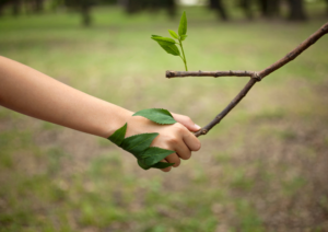 environnement-protection