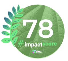 apf34-impactscore